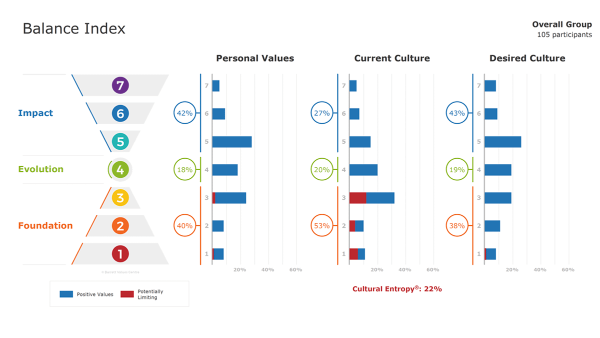 Culture Values Assessment 7